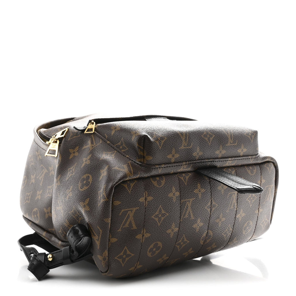 Monogram Palm Springs Backpack MM