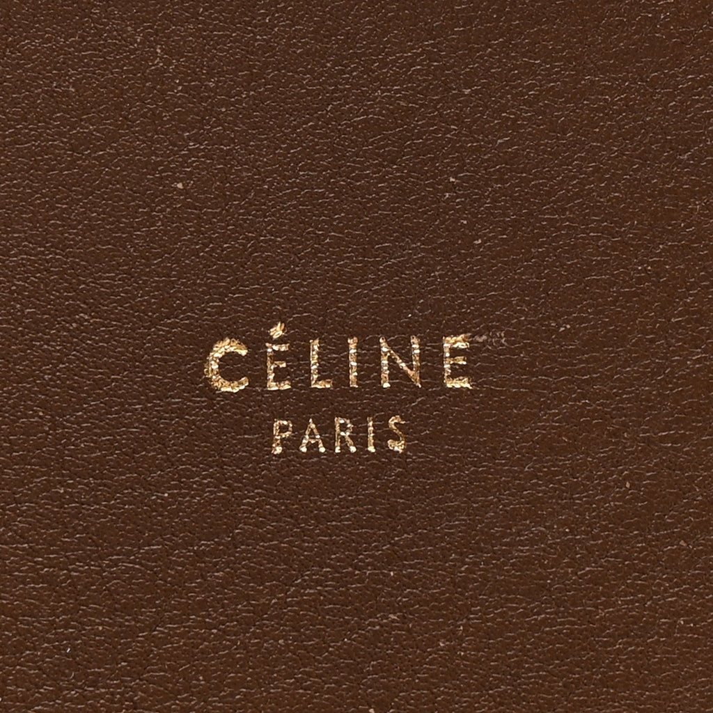 Shiny Smooth Calfskin Small Twisted Cabas Camel Brick