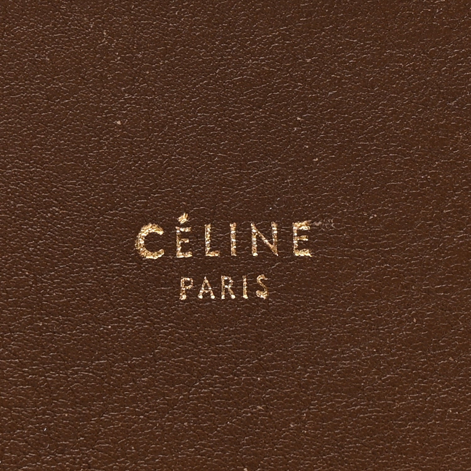 Shiny Smooth Calfskin Small Twisted Cabas Camel Brick