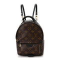 Monogram Palm Springs Backpack Mini