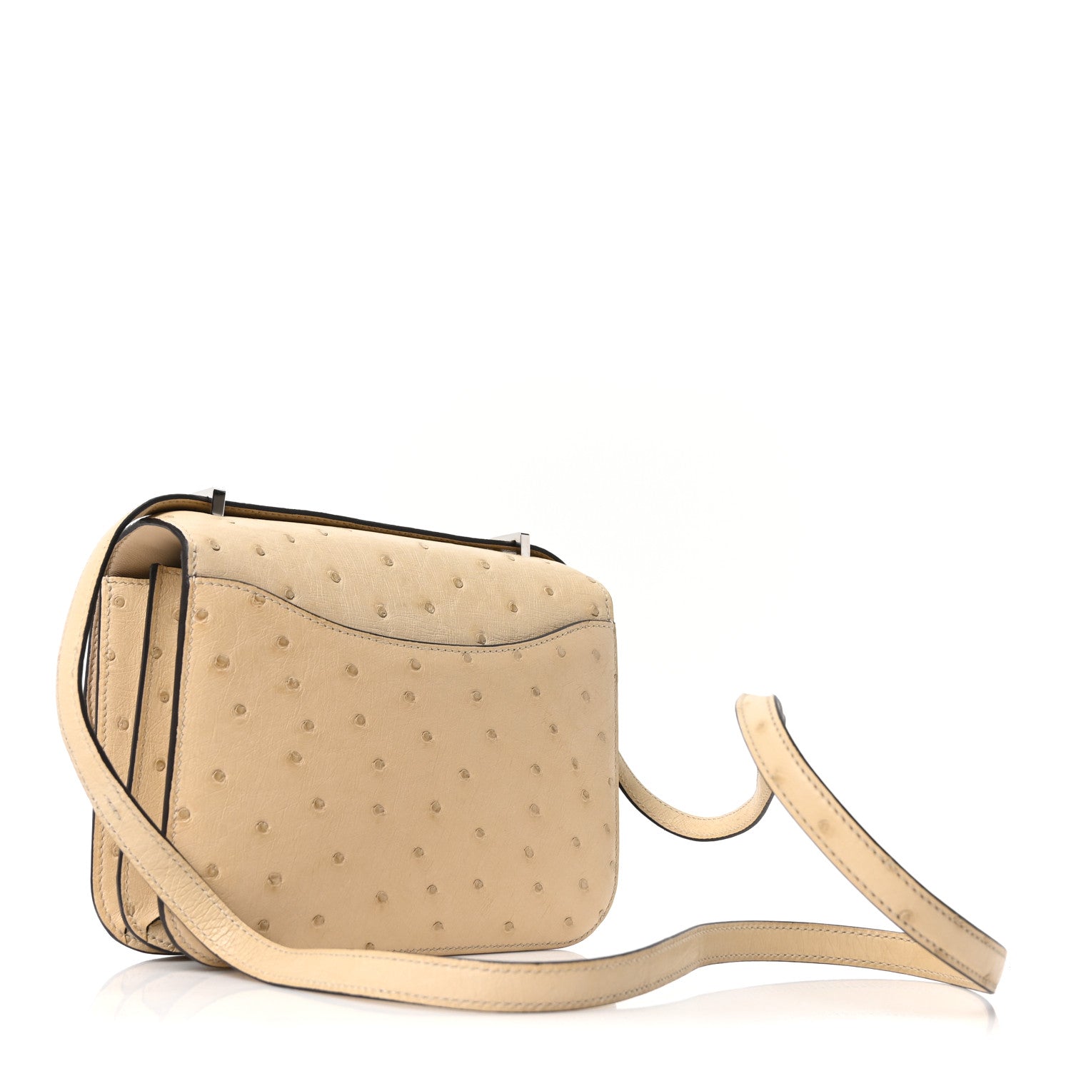 Ostrich Constance 18 Parchemin