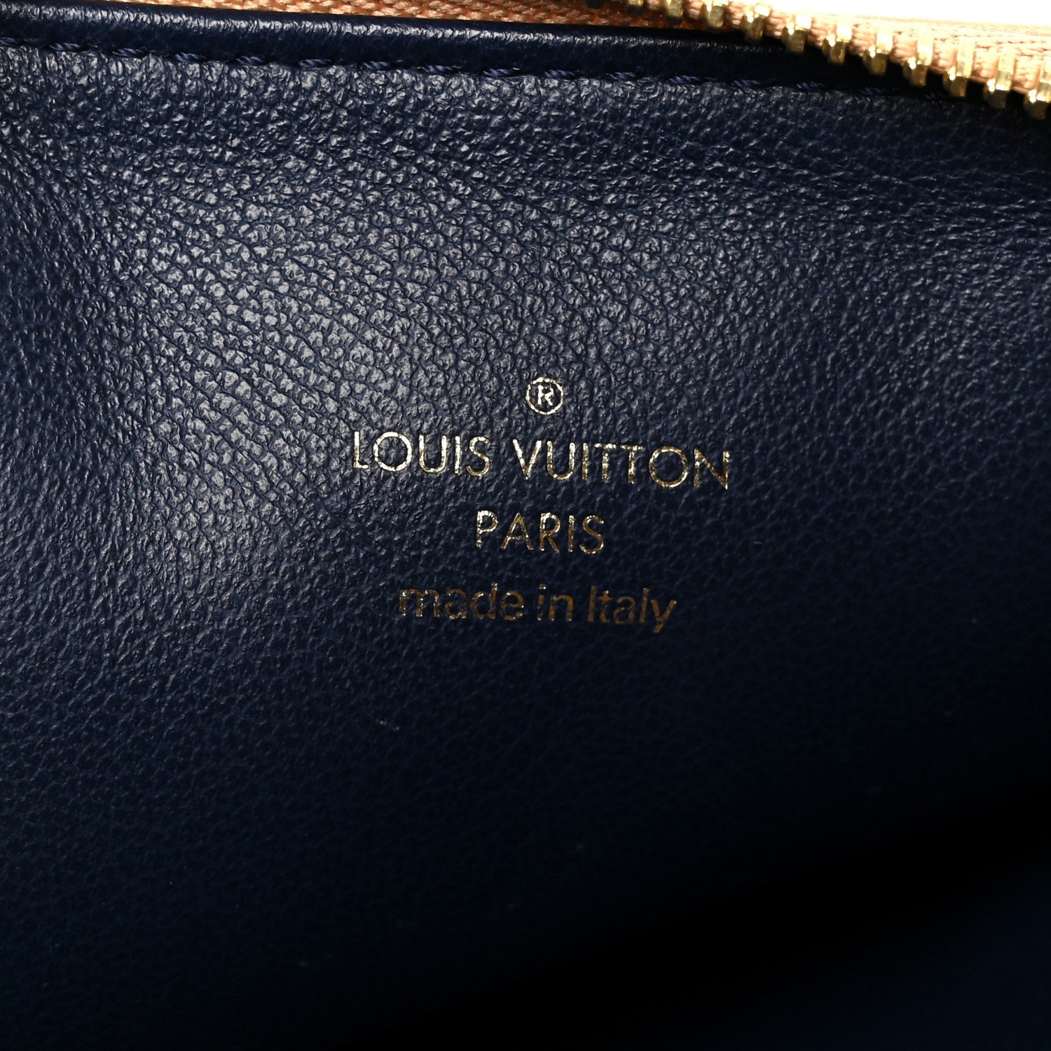Lambskin Embossed Monogram Coussin PM Camel
