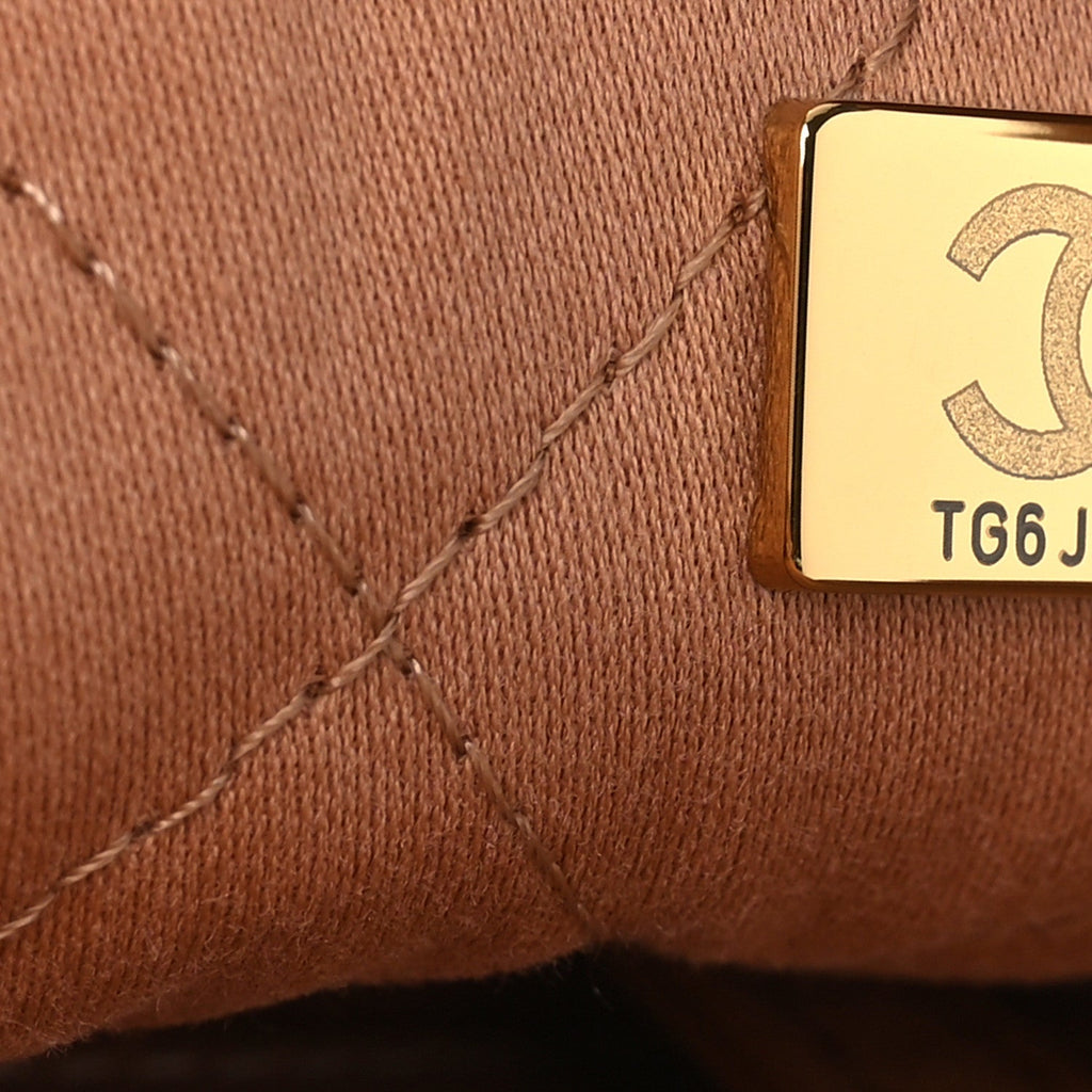 Shiny Calfskin Quilted Small Chanel 22 Beige