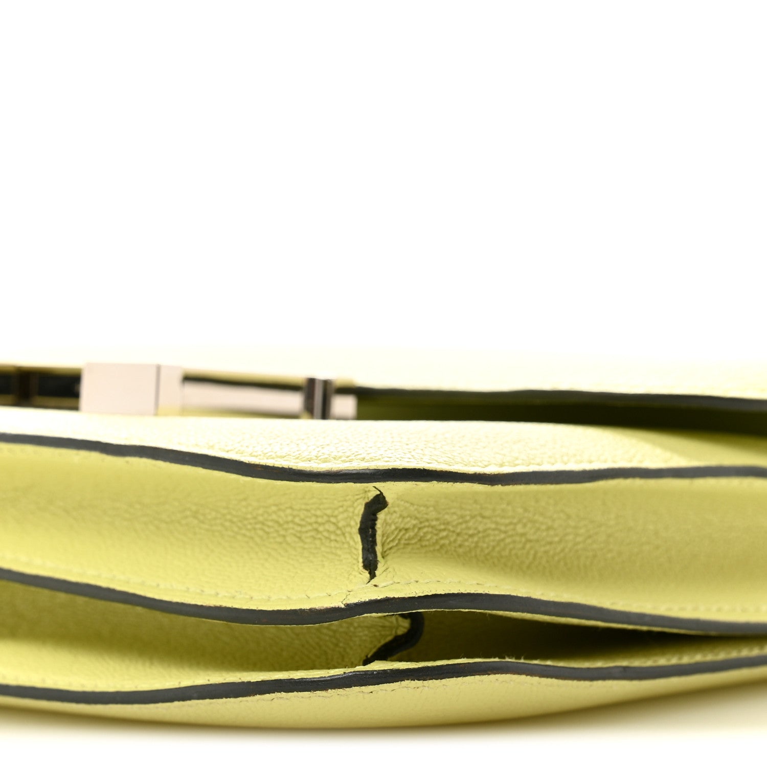 Chevre Mysore Constance 18 Jaune Bourgeon