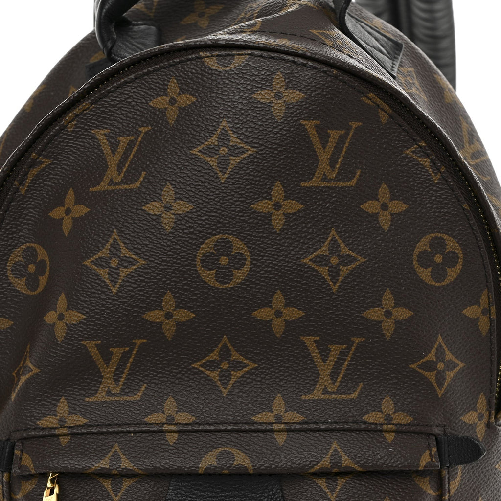 Monogram Palm Springs Backpack PM