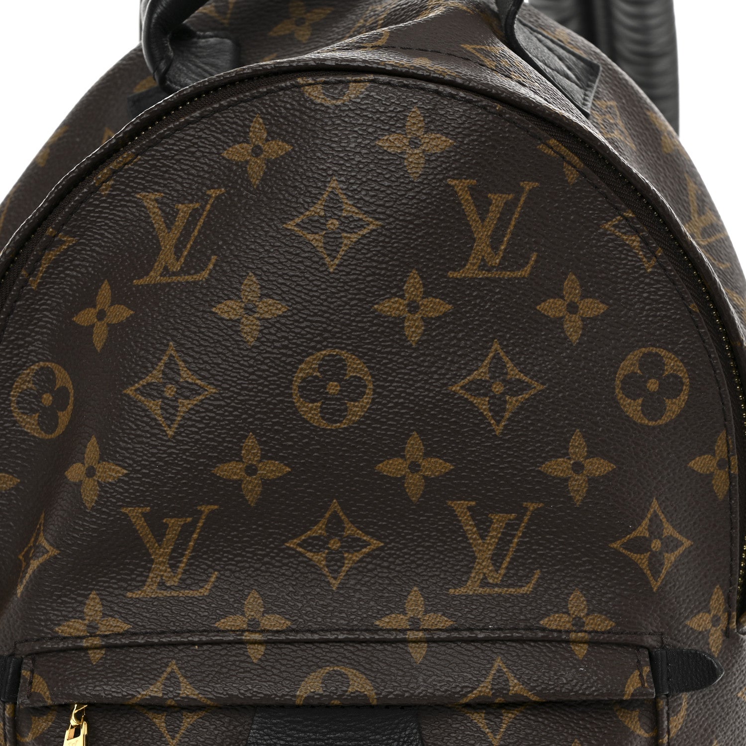 Monogram Palm Springs Backpack PM