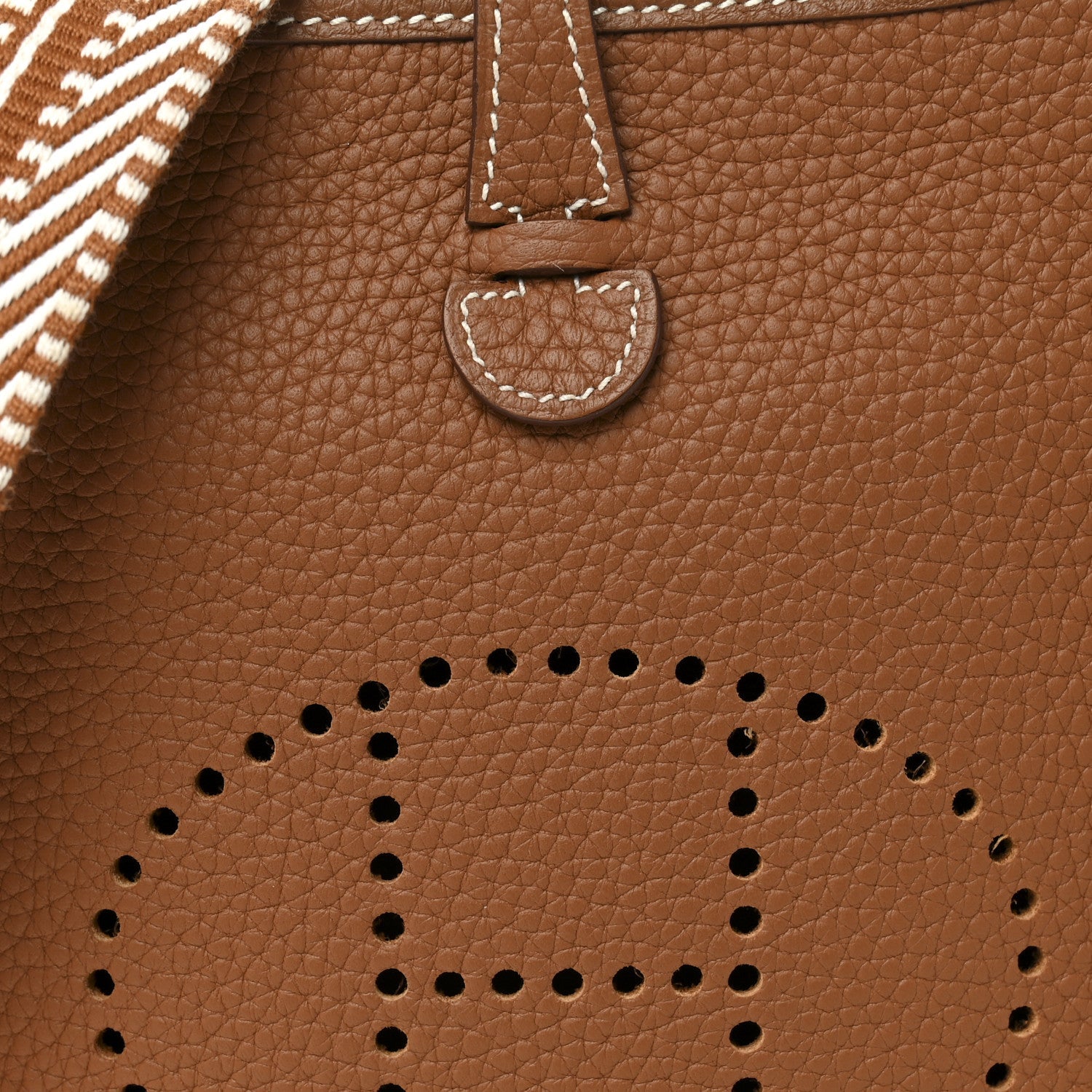 Taurillon Maurice Amazone Evelyne TPM Gold White