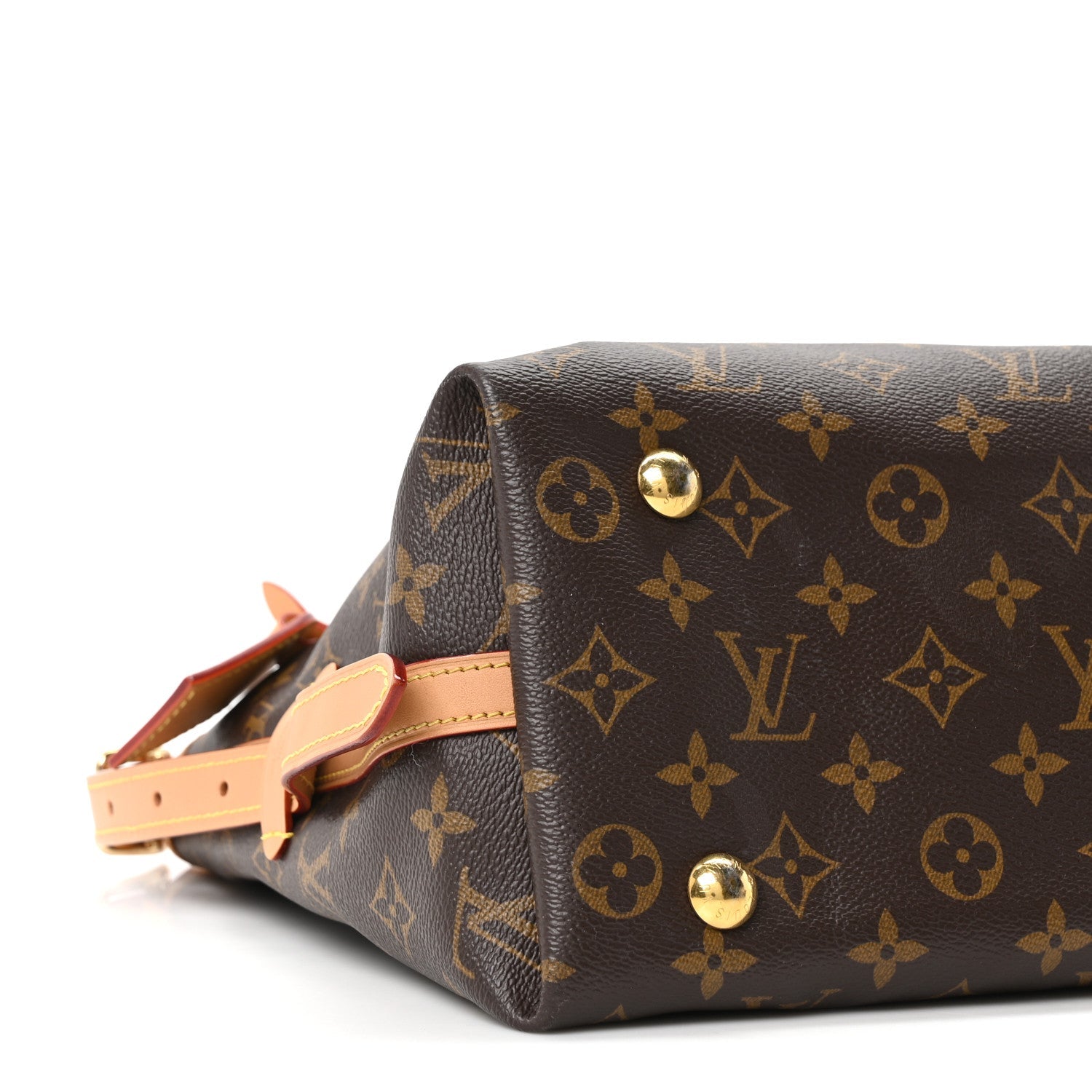 Monogram CarryAll PM
