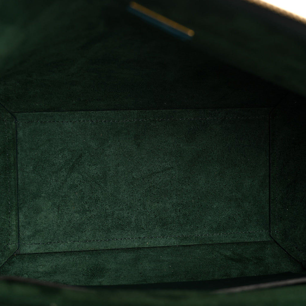 Grained Calfskin Micro Belt Bag Amazone