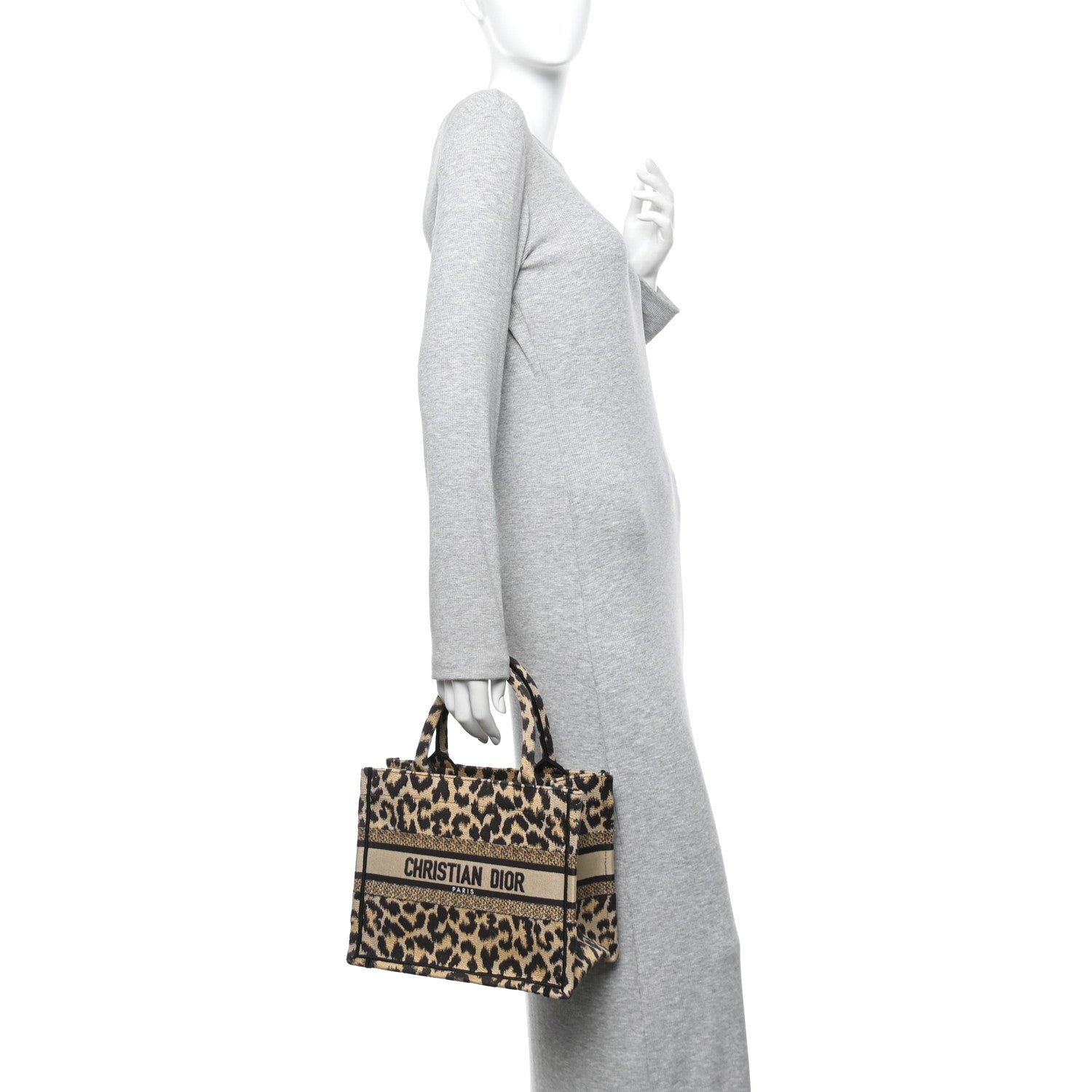 Canvas Mizza Embroidered Small Leopard Book Tote Beige