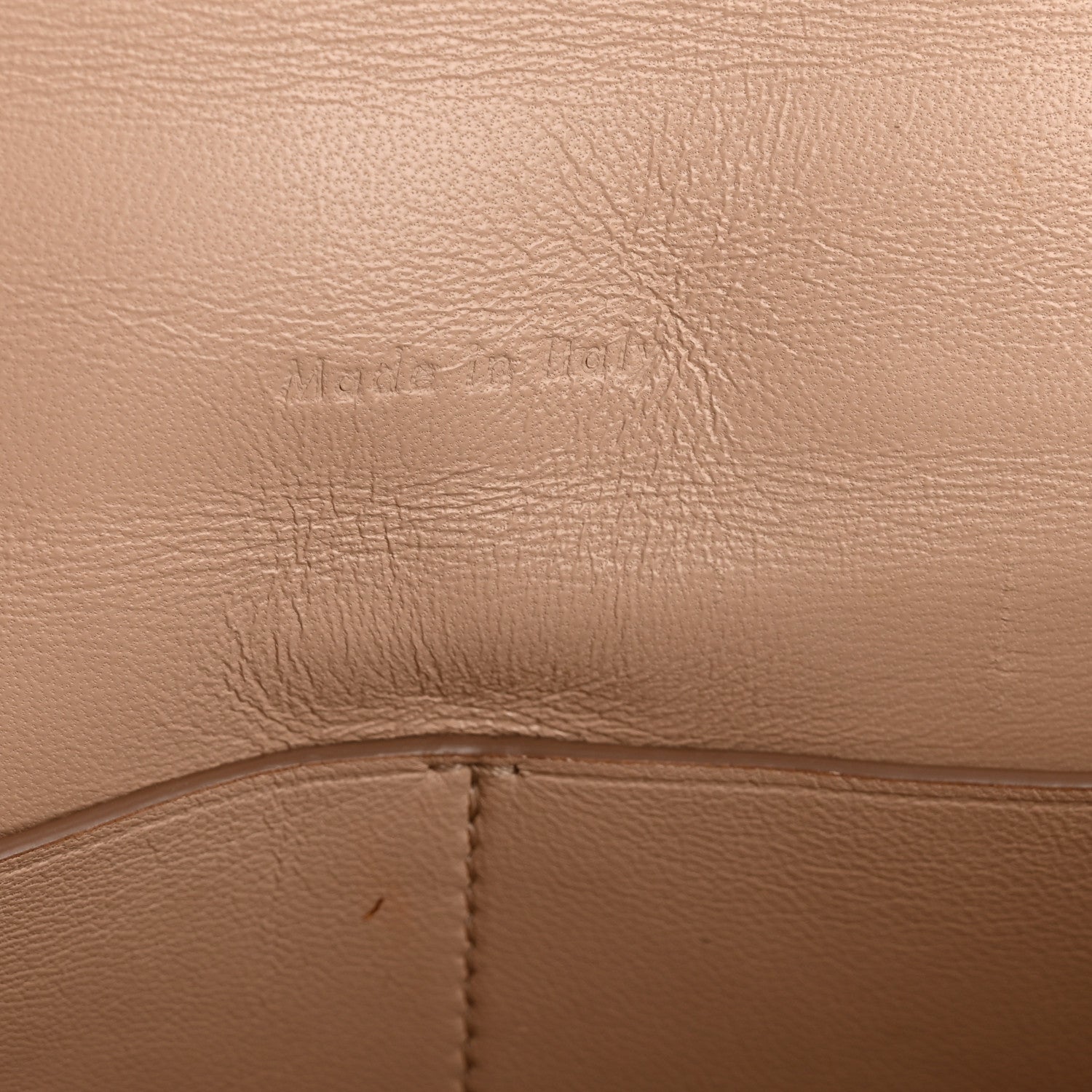Grained Calfskin Medium Trotteur  Powder