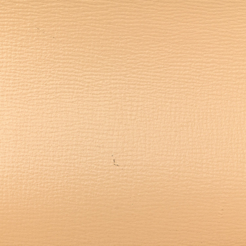 Azalea Calfskin Horsebit 1955 Shoulder Bag Bubble Tea