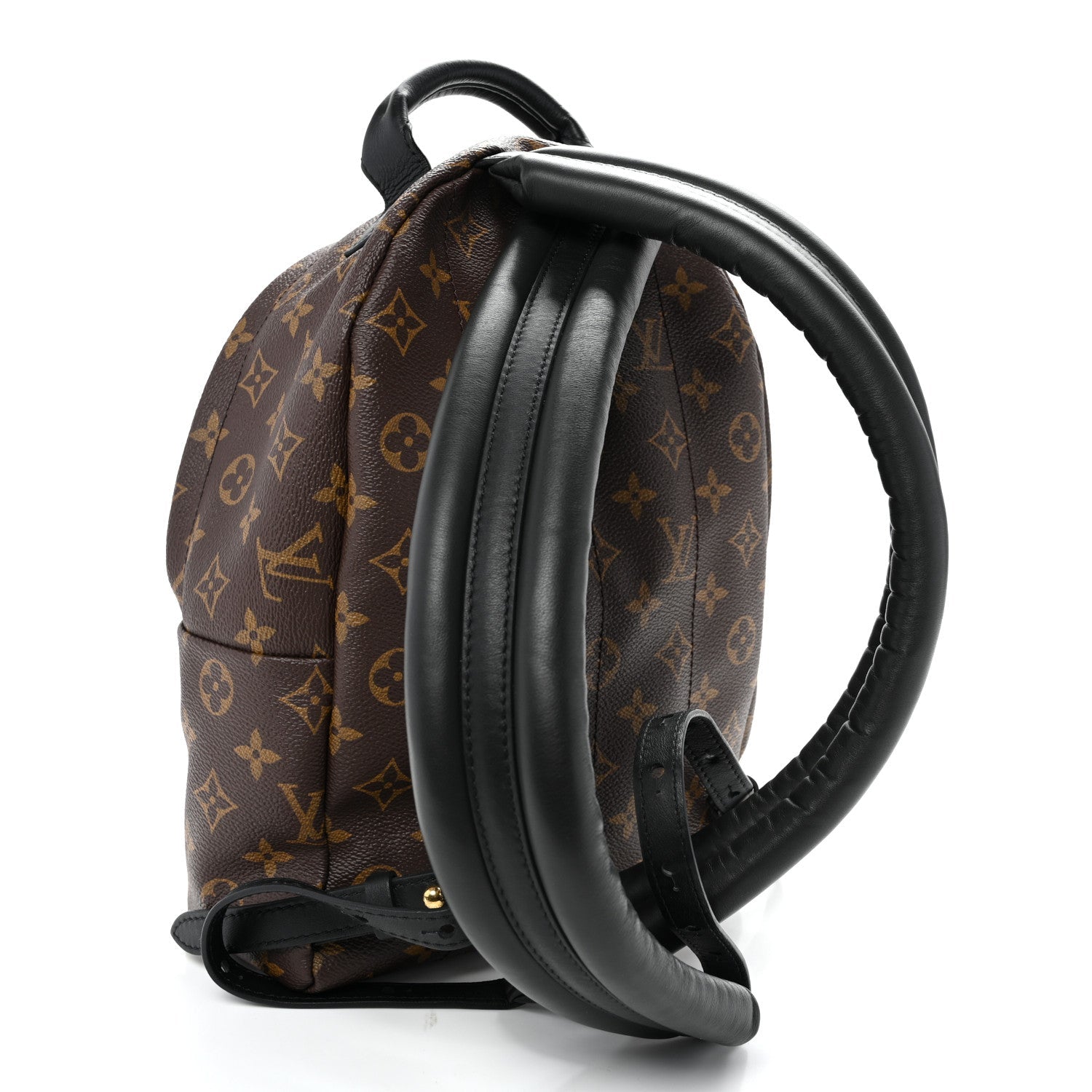 Monogram Palm Springs Backpack PM