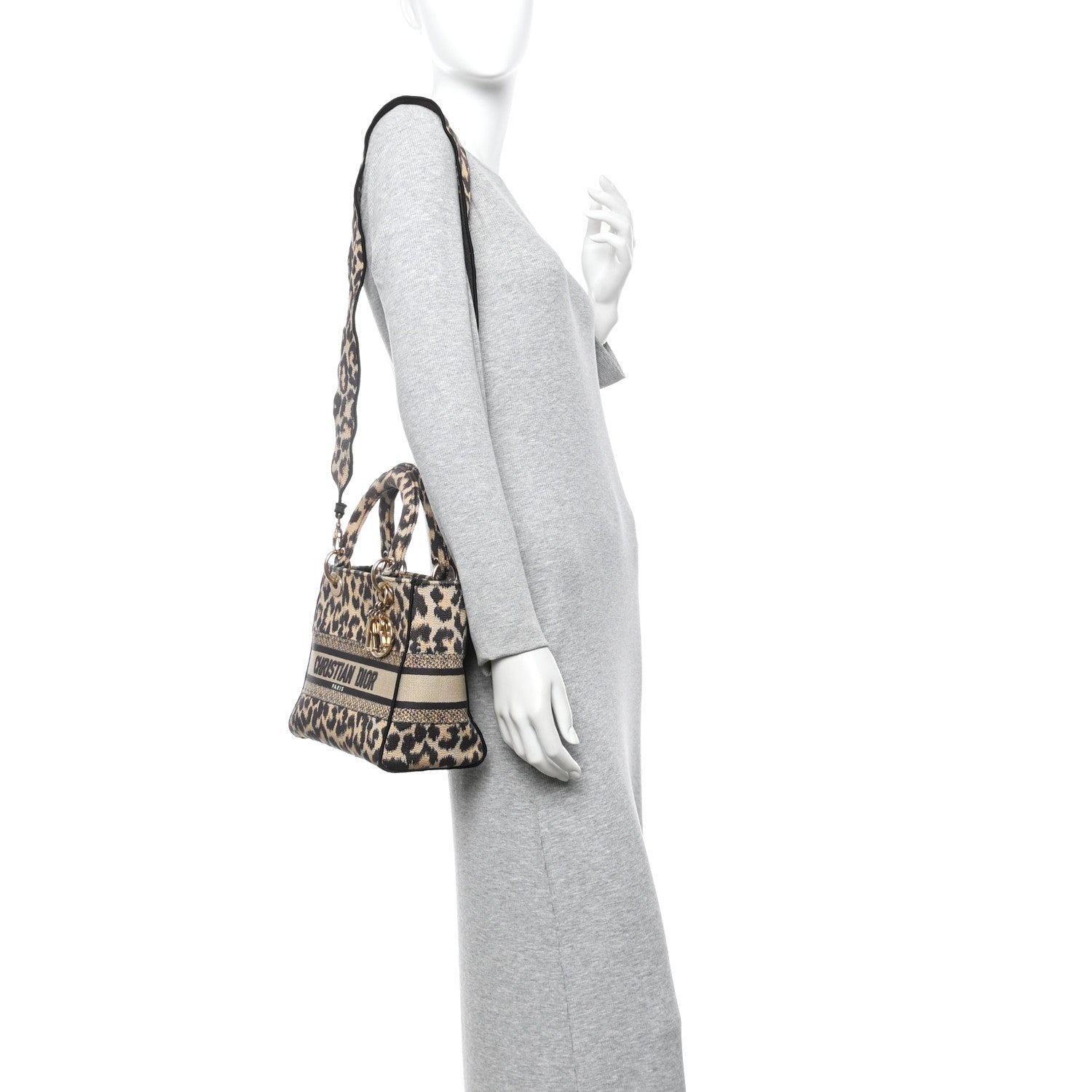 Canvas Medium Mizza Embroidered Lady D-Lite Beige Multicolor