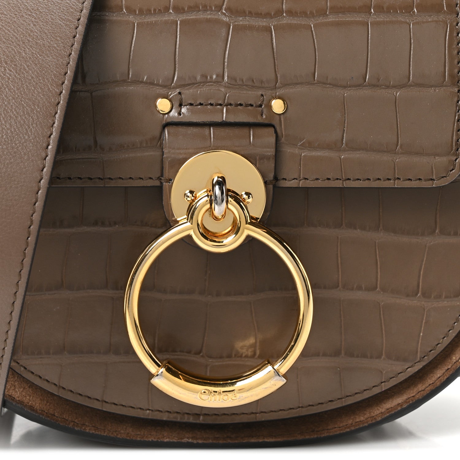 Calfskin Crocodile Embossed Small Tess Bag Army Green
