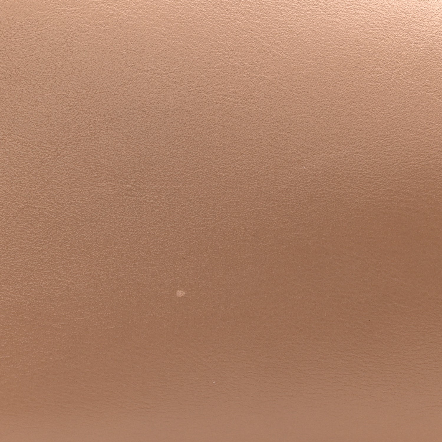 Smooth Calfskin Medium Rodeo Top Handle Handbag Latte