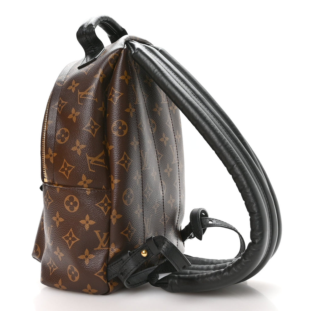 Monogram Palm Springs Backpack PM