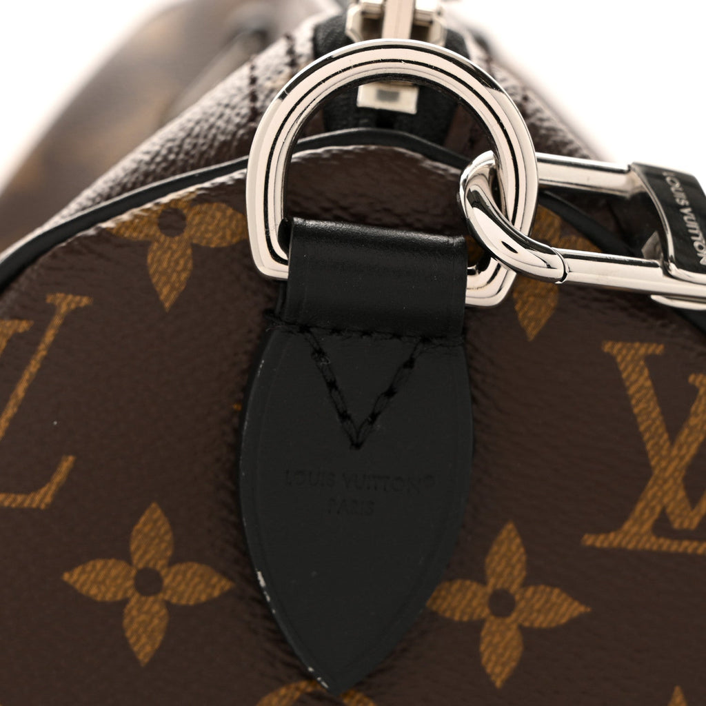 Monogram Speedy Soft 30 Dark
