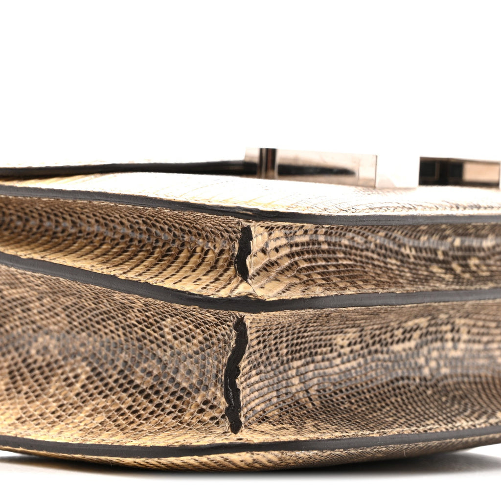 Lizard Constance 18 Ombre