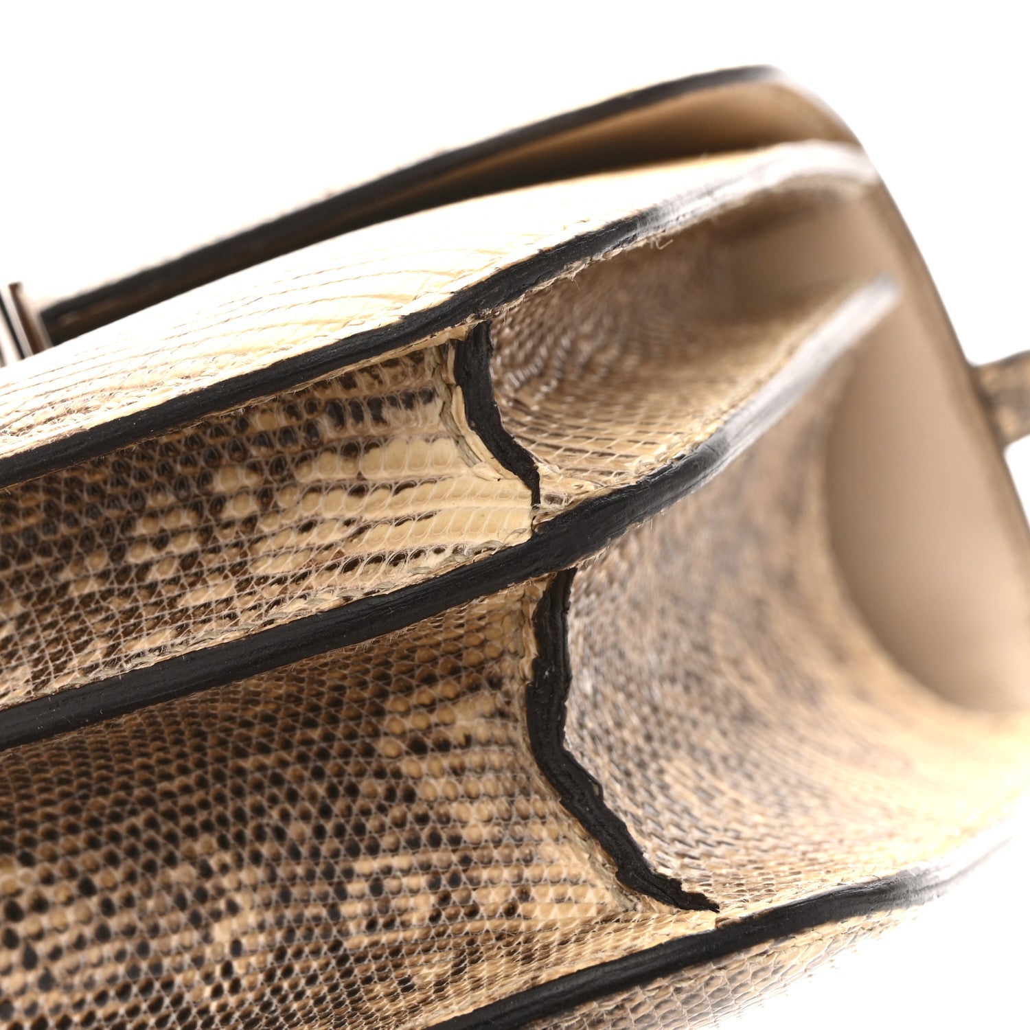 Lizard Constance 18 Ombre