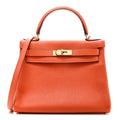 Taurillon Clemence Kelly Retourne 28 Orange