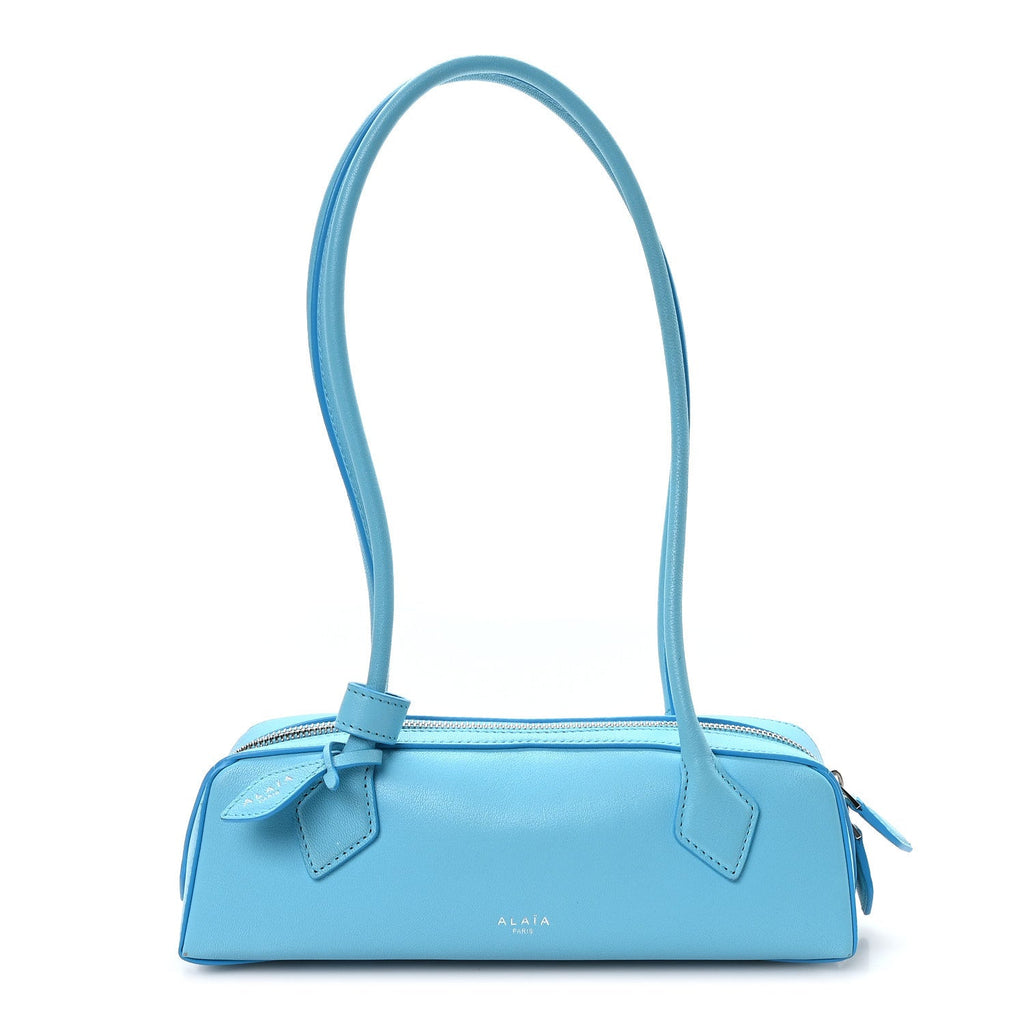 Shiny Goatskin Small Le Teckel Bag Amazonite