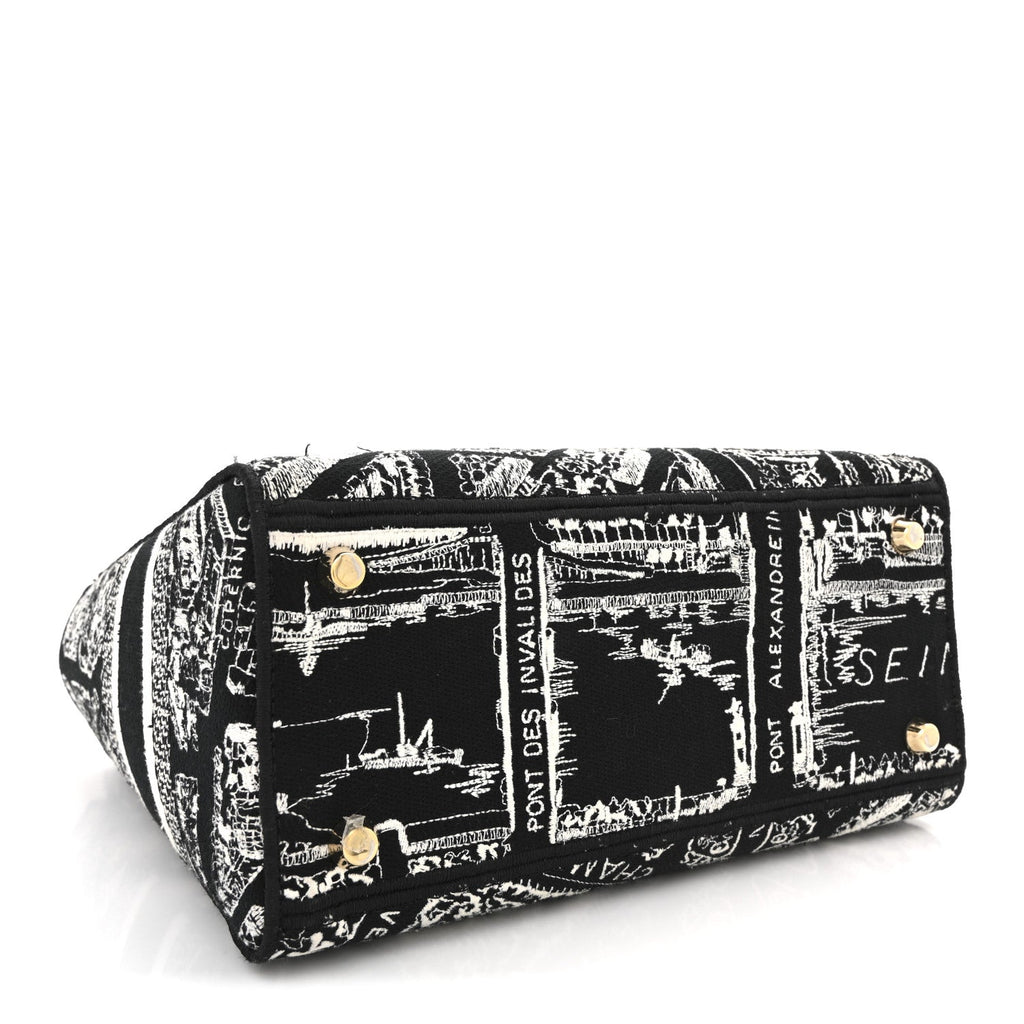 Canvas Embroidered Medium Plan de Paris Lady D-Lite Black White