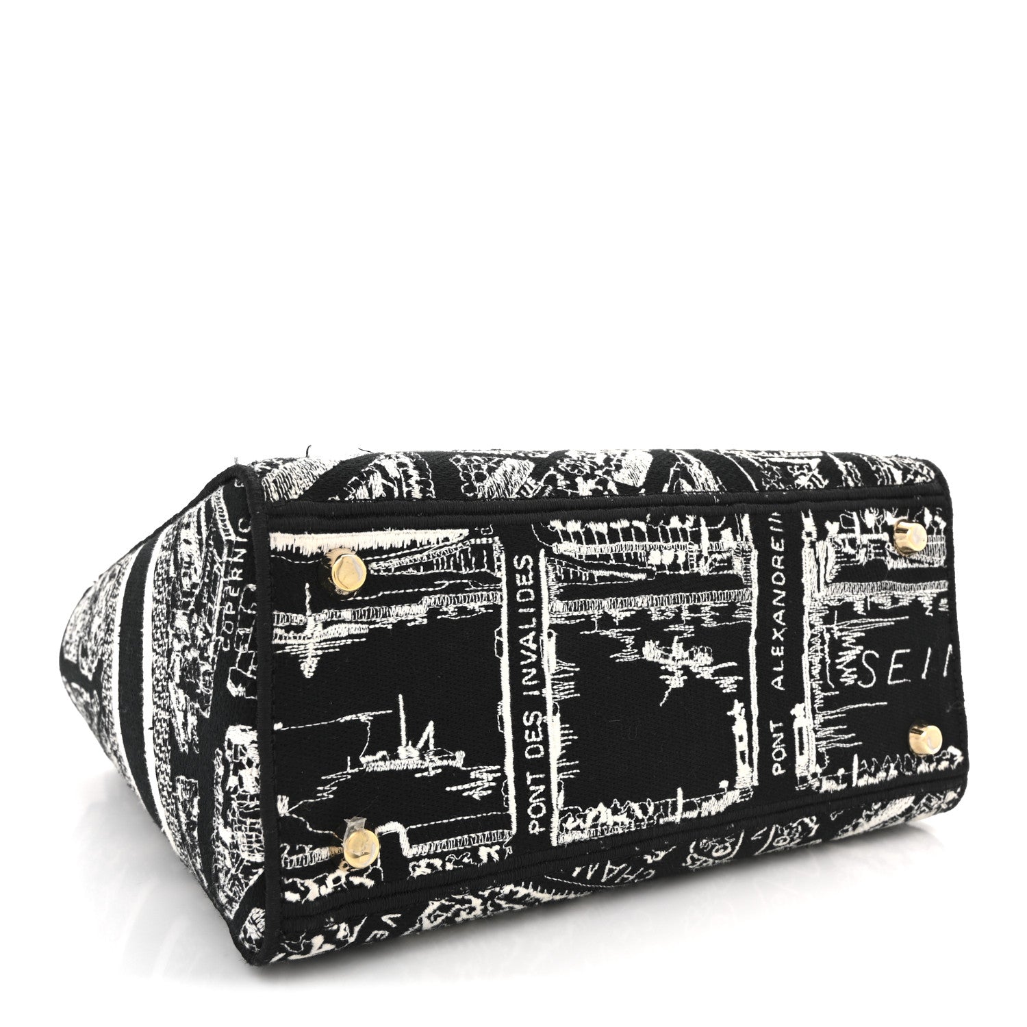 Canvas Embroidered Medium Plan de Paris Lady D-Lite Black White