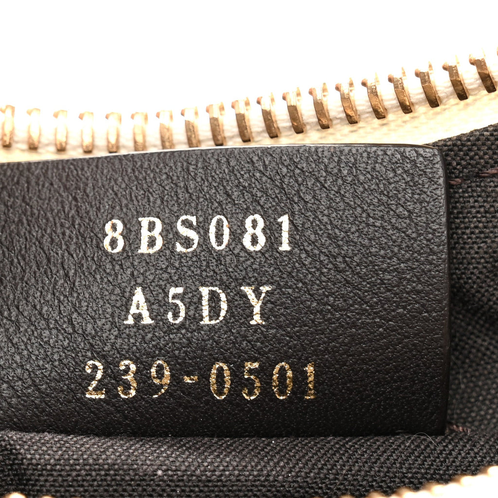 Vitello Grace Matte Mini Fendigraphy Hobo Bag Tortora