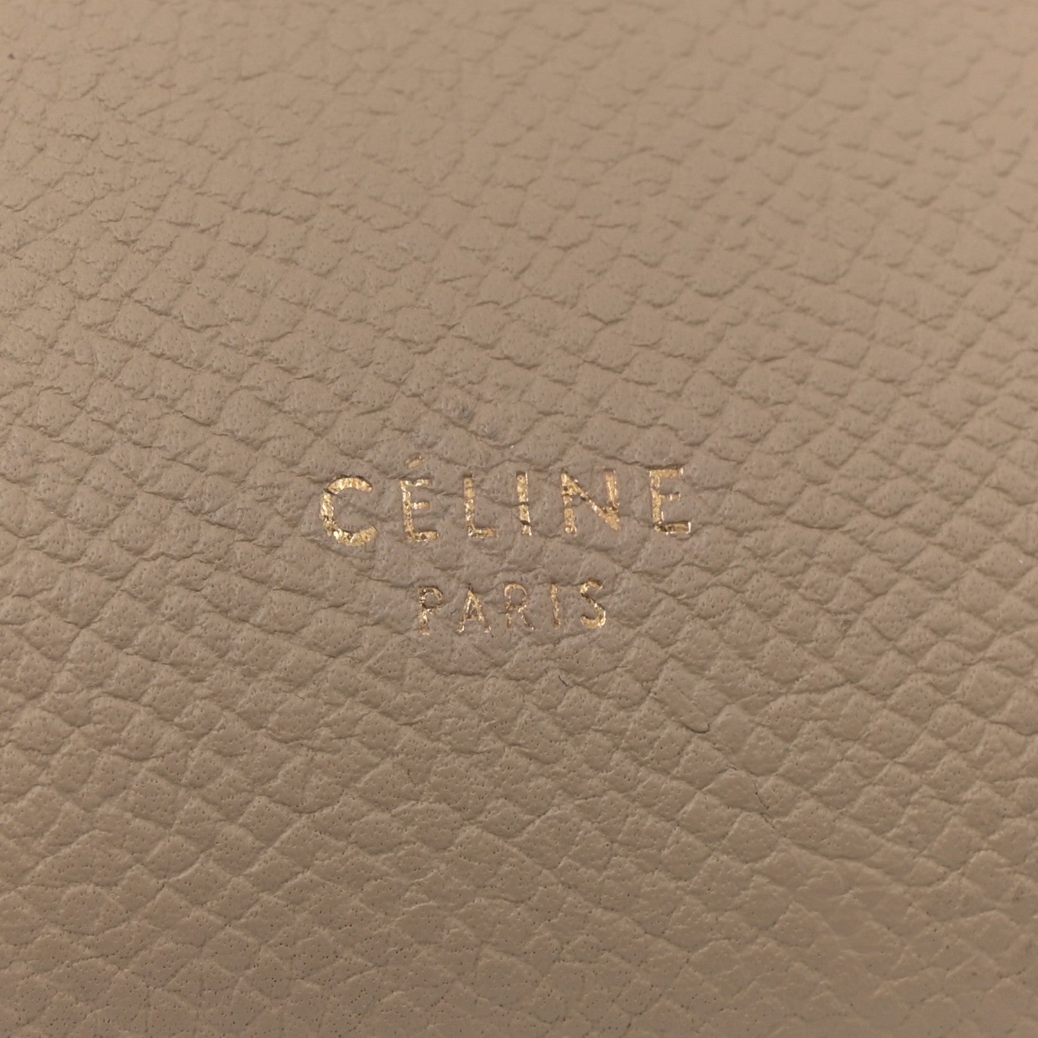 Grained Calfskin Mini Belt Bag Light Taupe