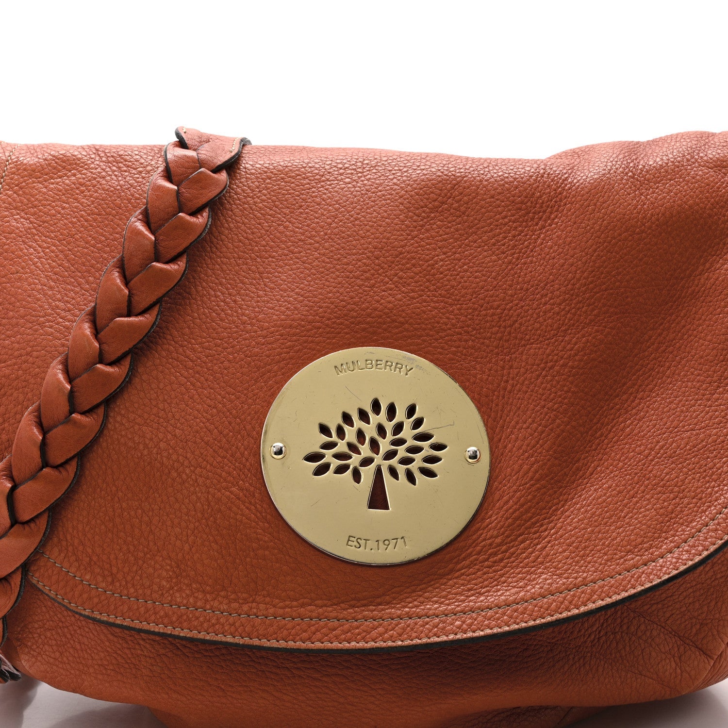Soft Spongy Calfskin Daria Satchel Burnt Orange