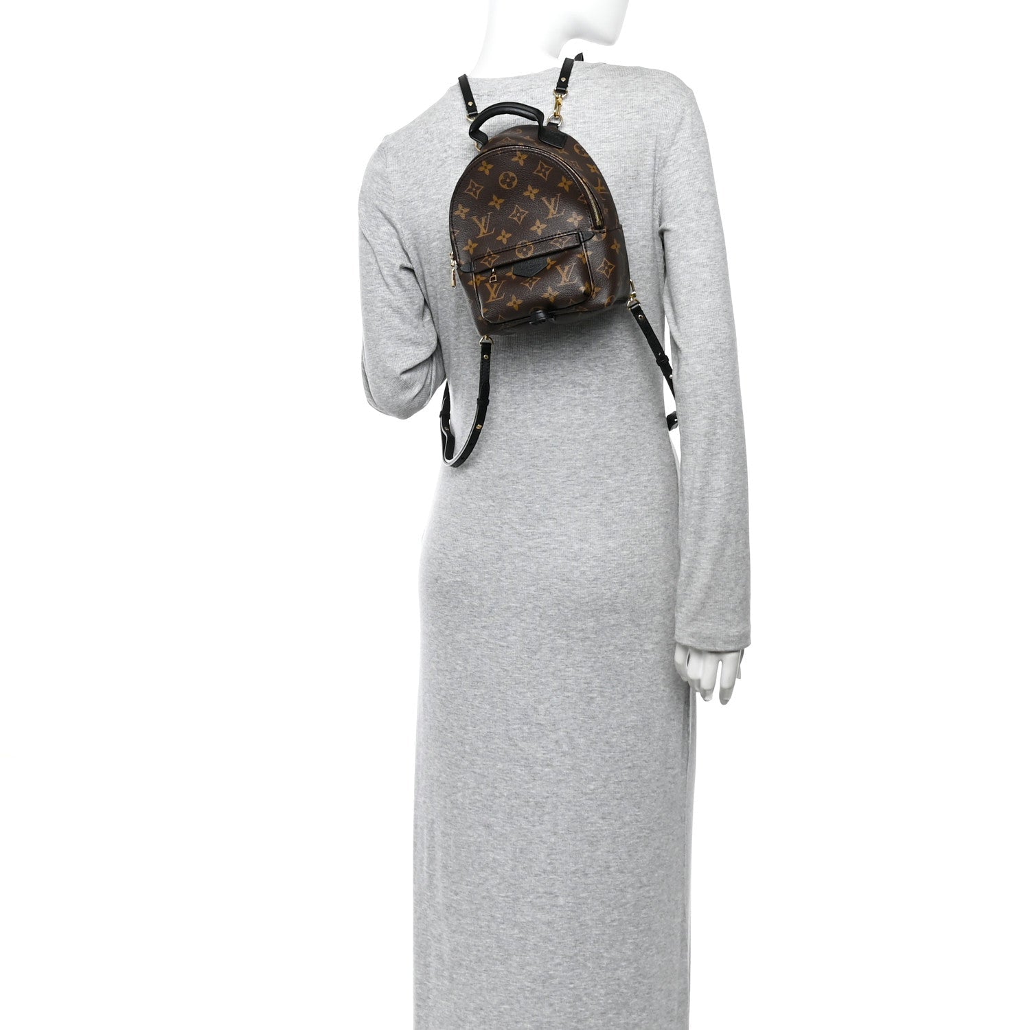 Monogram Palm Springs Backpack Mini