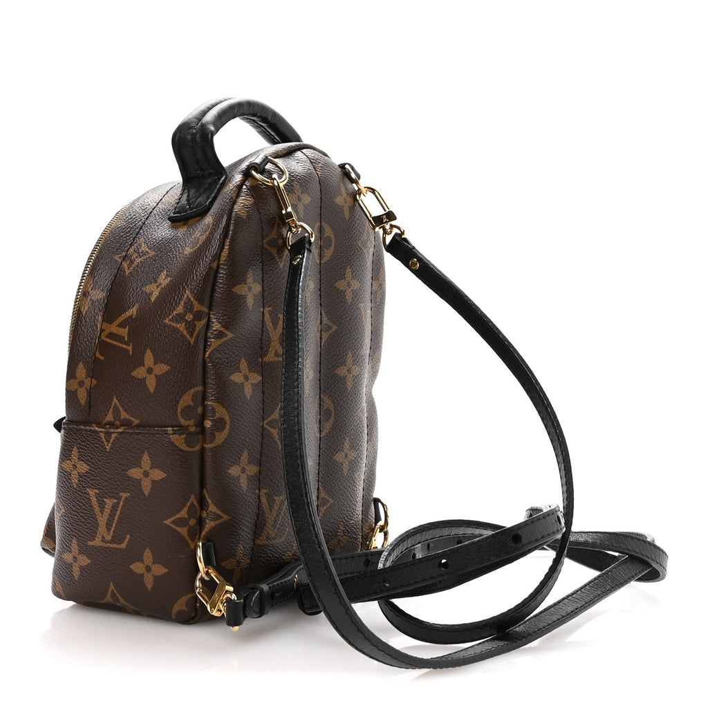 Monogram Palm Springs Backpack Mini