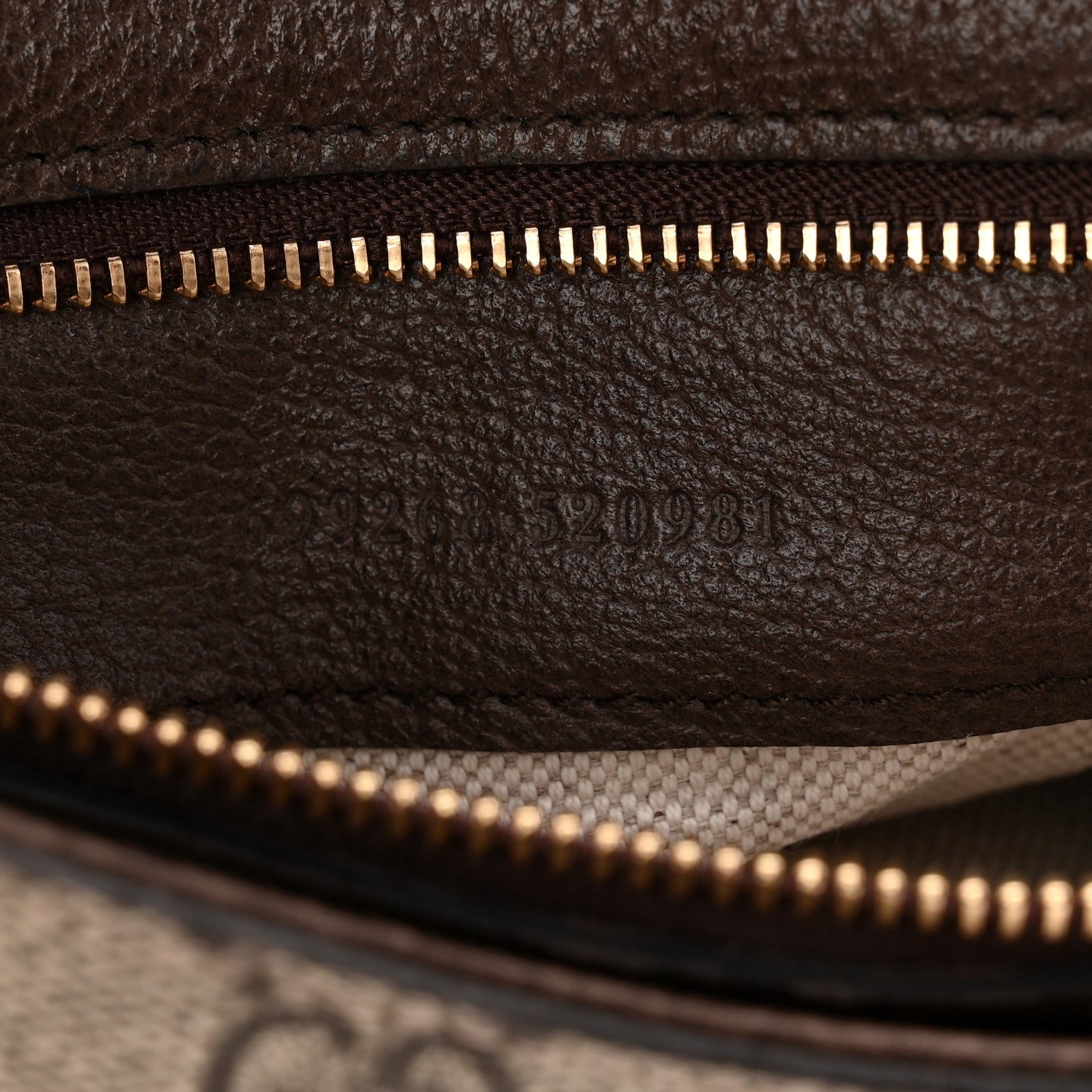 GG Supreme Monogram Textured Dollar Calfskin Blondie Chain Shoulder Flap Bag Beige Ebony New Acero