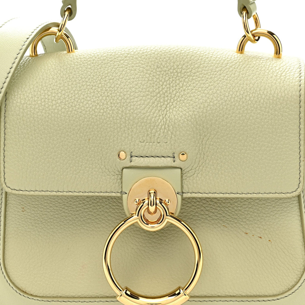 Calfskin Mini Tess Day Bag Light Eucalyptus