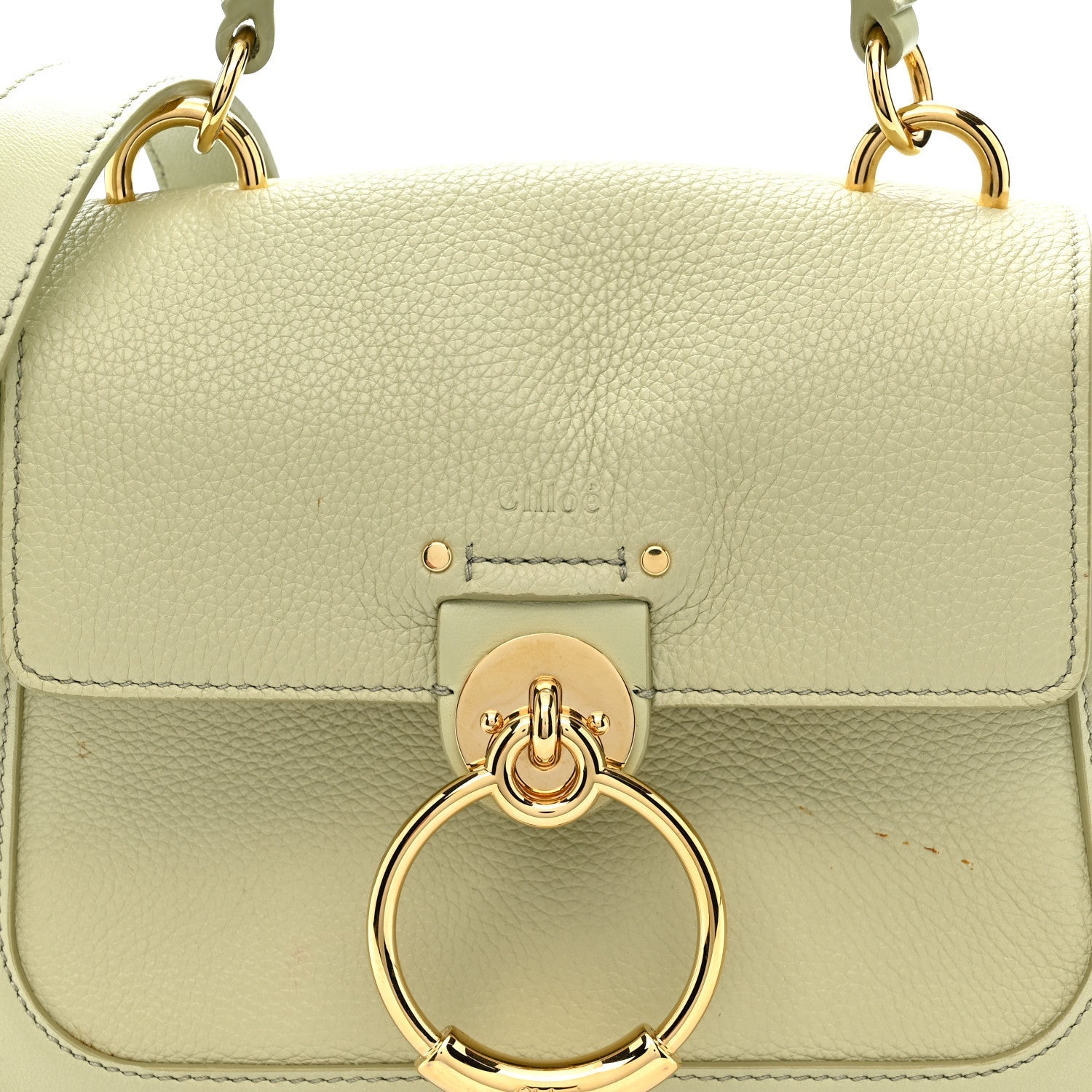 Calfskin Mini Tess Day Bag Light Eucalyptus