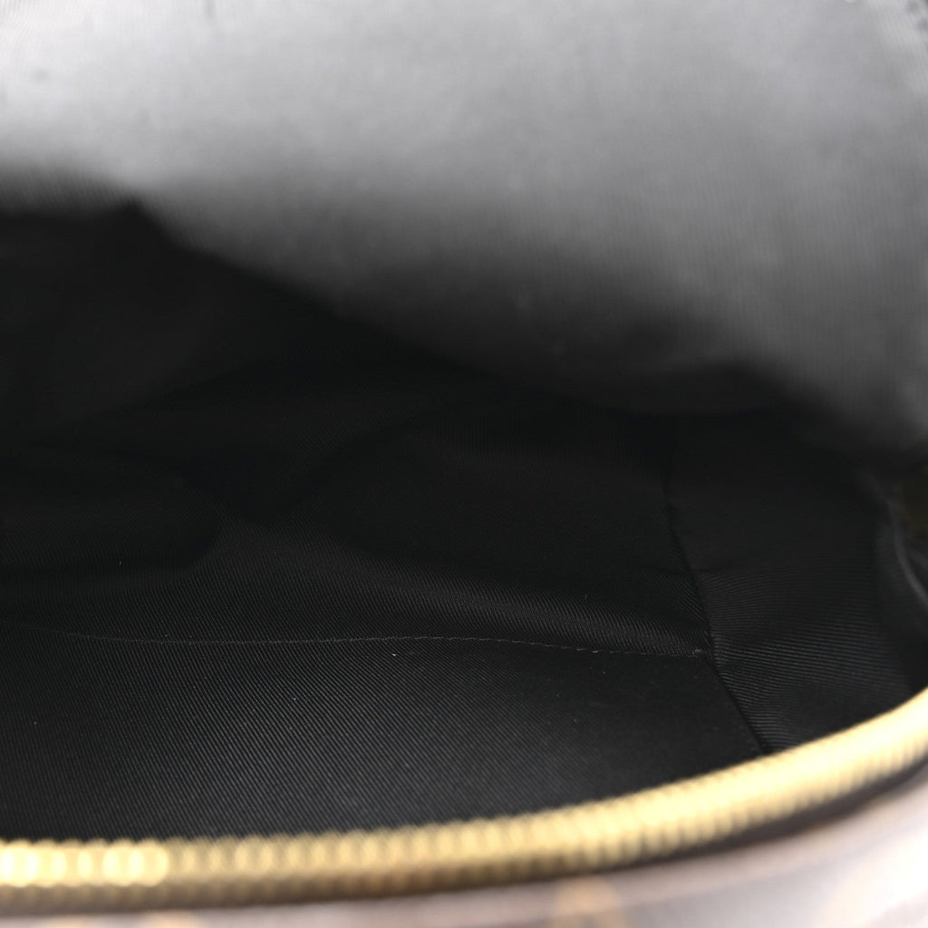 Reverse Monogram Palm Springs Backpack PM