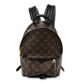 Monogram Palm Springs Backpack PM