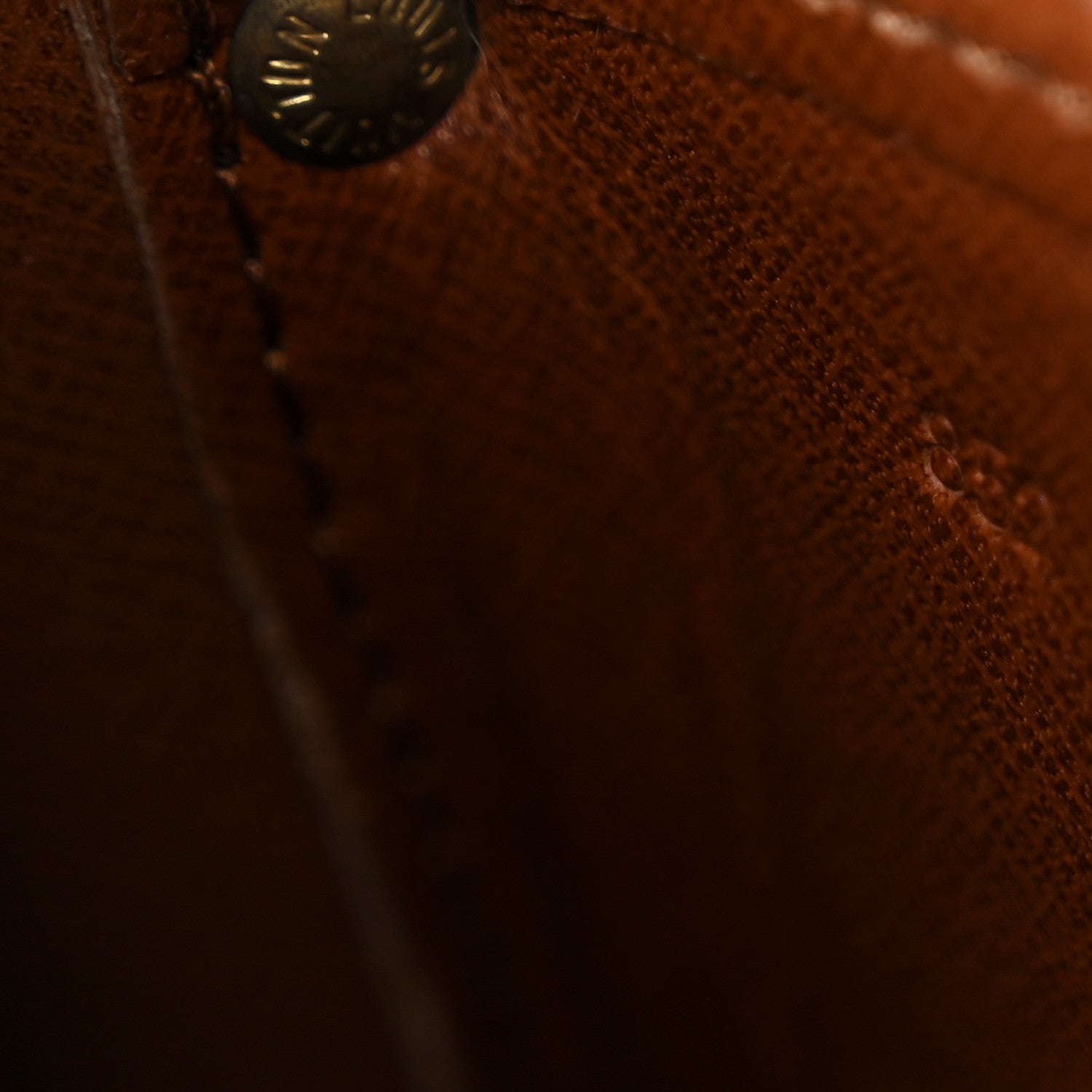 Monogram Cartouchiere 22