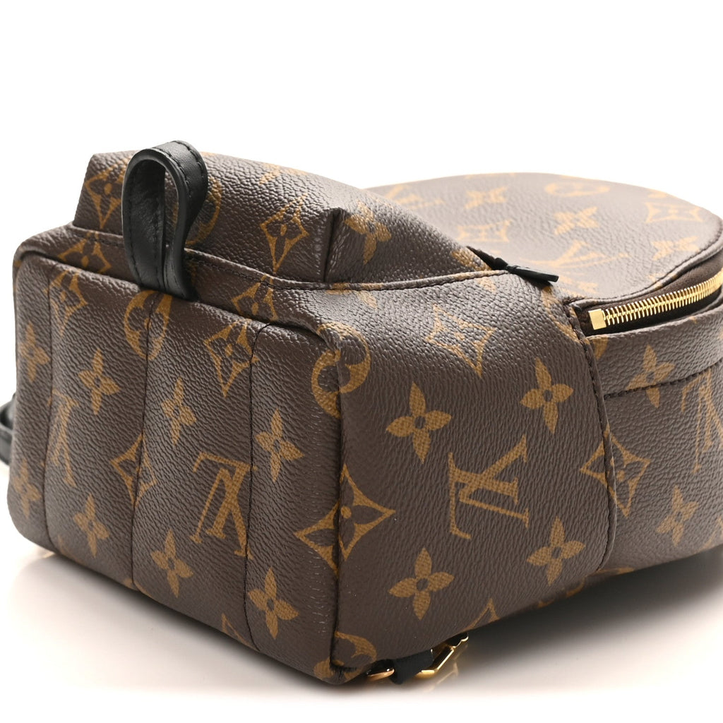 Monogram Palm Springs Backpack Mini