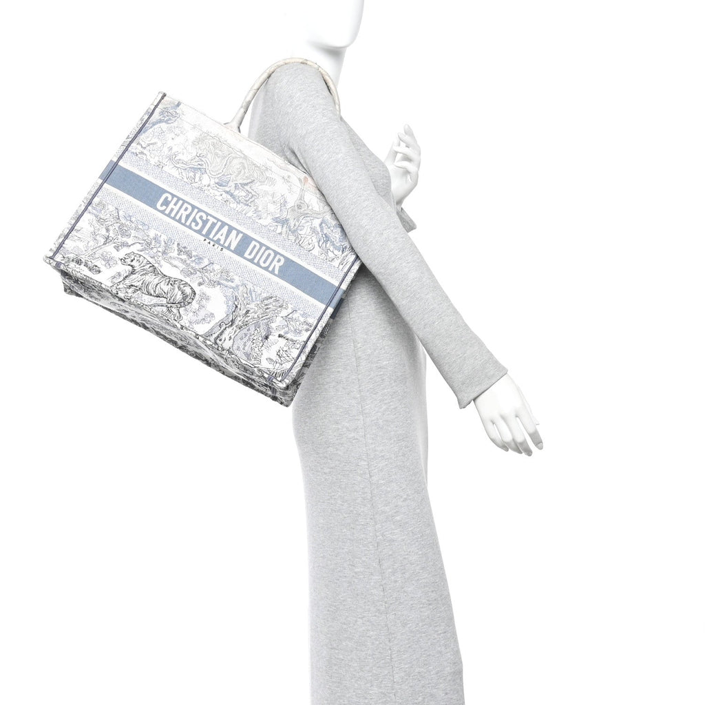 Gradient Canvas Embroidered Large Dioriviera Toile De Jouy Book Tote Blue