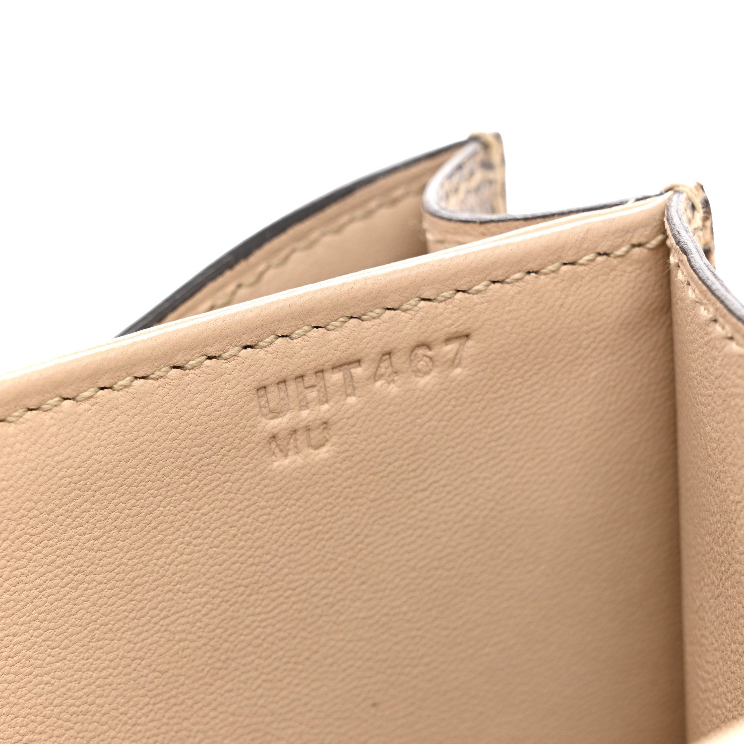 Lizard Constance 18 Ombre