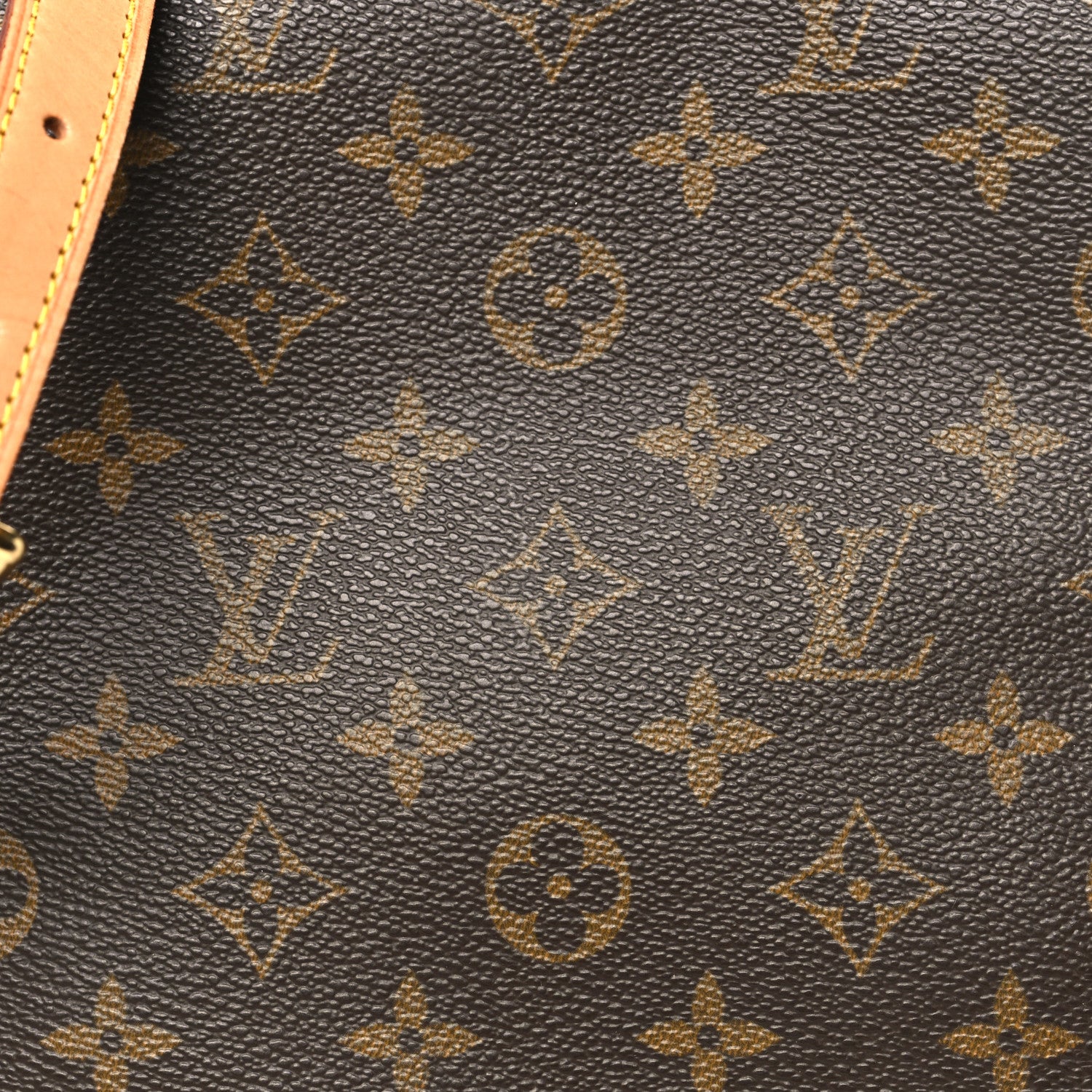 Monogram Musette Salsa