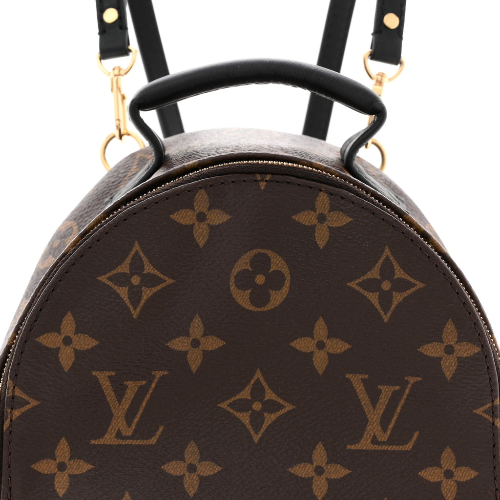 Monogram Palm Springs Backpack Mini