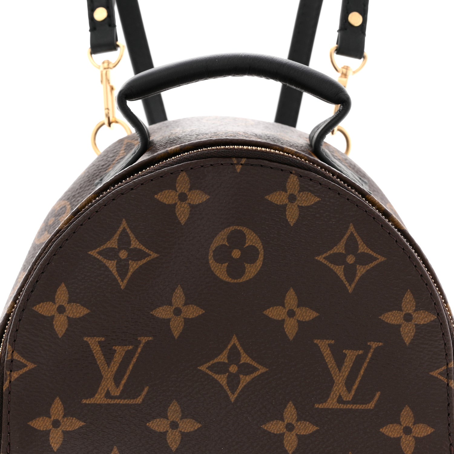 Monogram Palm Springs Backpack Mini