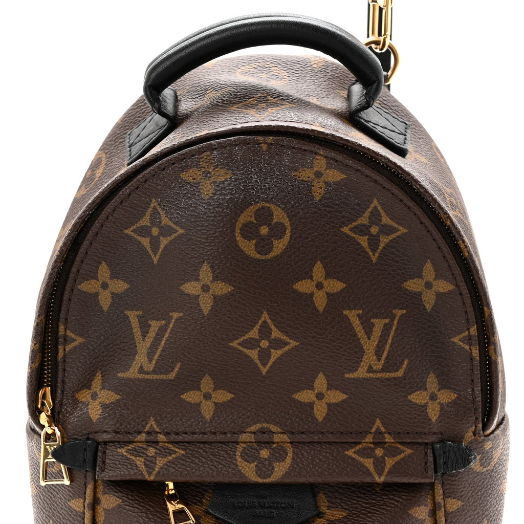 Monogram Palm Springs Backpack Mini