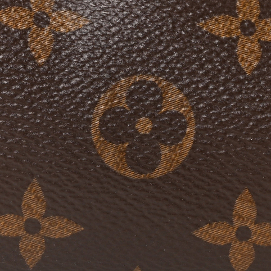 Monogram Nano Speedy