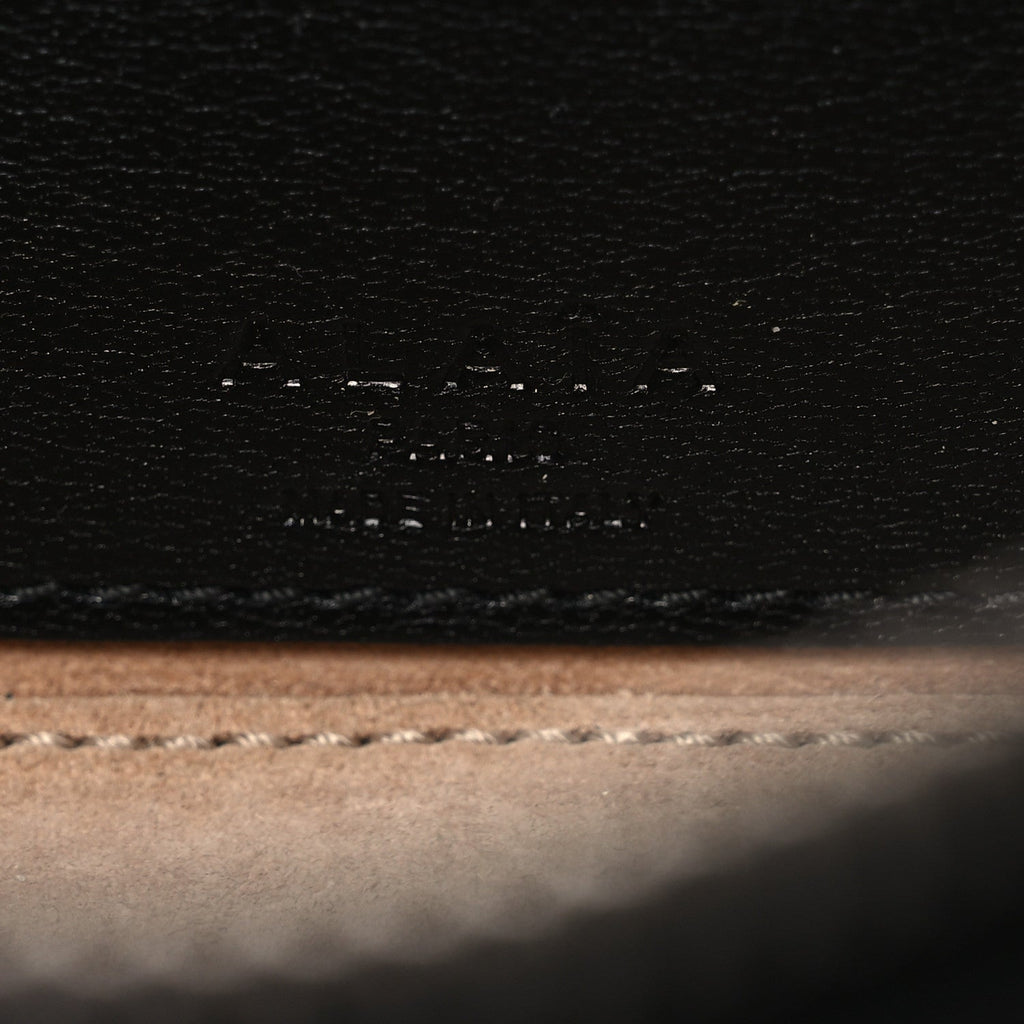Shiny Goatskin Small Le Teckel Bag Black