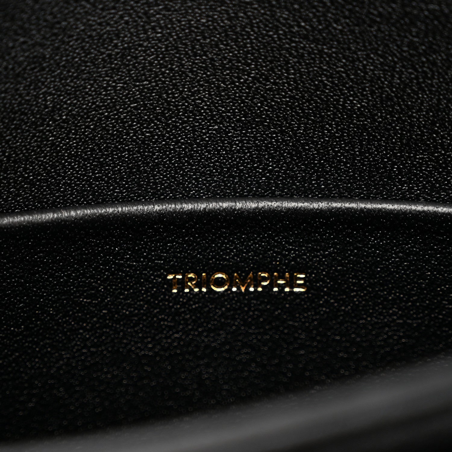 Shiny Calfskin Teen Triomphe Black