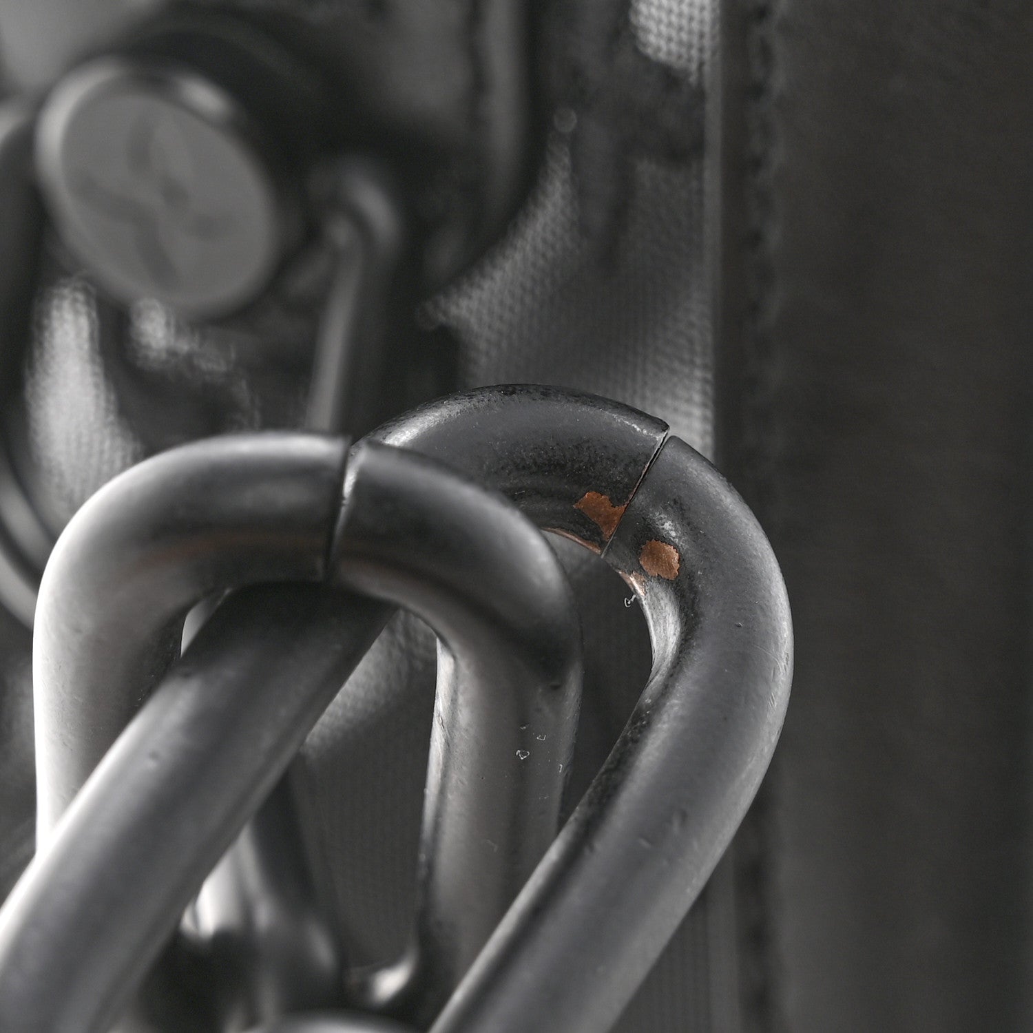 Monogram See Through Soft Trunk Black